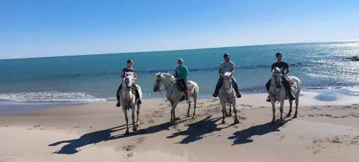 Balade à cheval sur la plage à la demi-journée aux Saintes-Maries-de-la-Mer, Saintes-Maries-de-la-Mer, Promenade à Cheval La Cavale