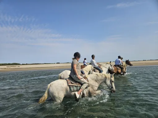 Découvrir la Camargue à cheval autour de Saintes-Maries-de-la-Mer, Saintes-Maries-de-la-Mer, Promenade à Cheval La Cavale