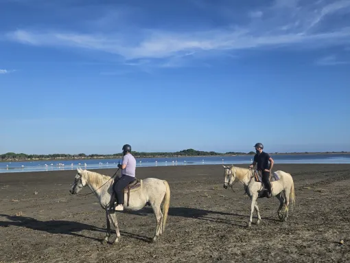 Excursions privées à cheval à Saintes-Maries-de-la-Mer, Saintes-Maries-de-la-Mer, Promenade à Cheval La Cavale