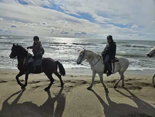 Balade à cheval au Grand Radeau aux Saintes-Maries-de-la-Mer, Saintes-Maries-de-la-Mer, Promenade à Cheval La Cavale