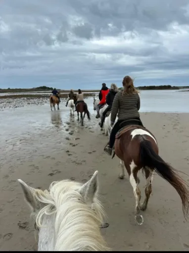 Promenade à cheval entre plage et pinède aux Saintes-Maries-de-la-Mer, Saintes-Maries-de-la-Mer, Promenade à Cheval La Cavale