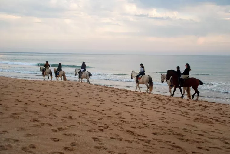Une balade à cheval de 2 heures est-elle adaptée pour des débutants ?, Saintes-Maries-de-la-Mer, Promenade à Cheval La Cavale