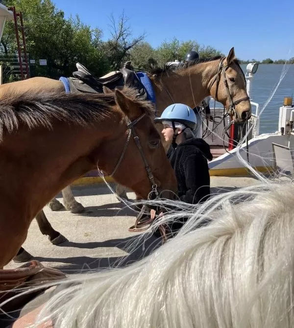 Comment se préparer pour une balade à cheval si vous êtes débutant ?, Saintes-Maries-de-la-Mer, Promenade à Cheval La Cavale