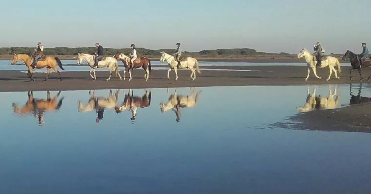 Comment choisir la meilleure balade à cheval d’une demi-journée près de la mer ?, Saintes-Maries-de-la-Mer, Promenade à Cheval La Cavale