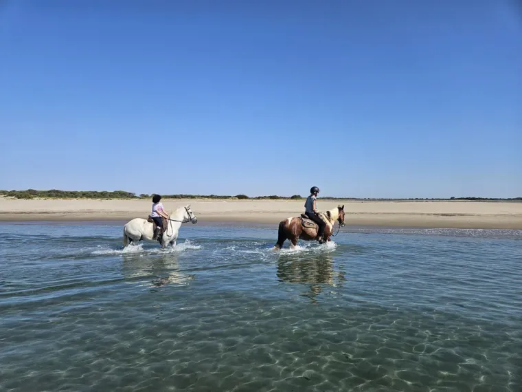 Offrez une promenade à cheval au Grand Radeau pour Noël, Saintes-Maries-de-la-Mer, Promenade à Cheval La Cavale
