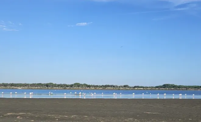 La promenade à cheval La Cavale un lieu atypique, hors du temps, Saintes-Maries-de-la-Mer, Promenade à Cheval La Cavale