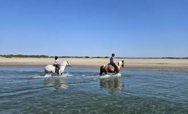Après une belle promenade à cheval dans notre belle camargue, nous vous offrons un petit plus un apéro tapas, Saintes-Maries-de-la-Mer, Promenade à Cheval La Cavale