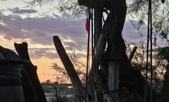Après une belle promenade à cheval dans notre belle camargue, nous vous offrons un petit plus un apéro tapas, Saintes-Maries-de-la-Mer, Promenade à Cheval La Cavale