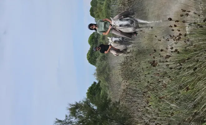 Découvrez nos promenades à cheval ouvertes toute l'année, Saintes-Maries-de-la-Mer, Promenade à Cheval La Cavale