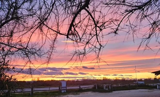 Les beaux coups de coucher de soleil en Camargue et Cheval, Saintes-Maries-de-la-Mer, Promenade à Cheval La Cavale