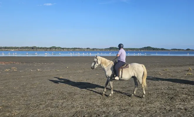 Promenade à cheval en pleine Camargue aux Saintes-Maries-de-la-Mer, Saintes-Maries-de-la-Mer, Promenade à Cheval La Cavale
